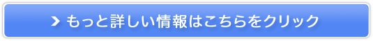 ǗË@nhbgyX[p[fBJT _AX[gz̔TCg